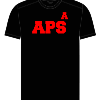 dan aps tee front